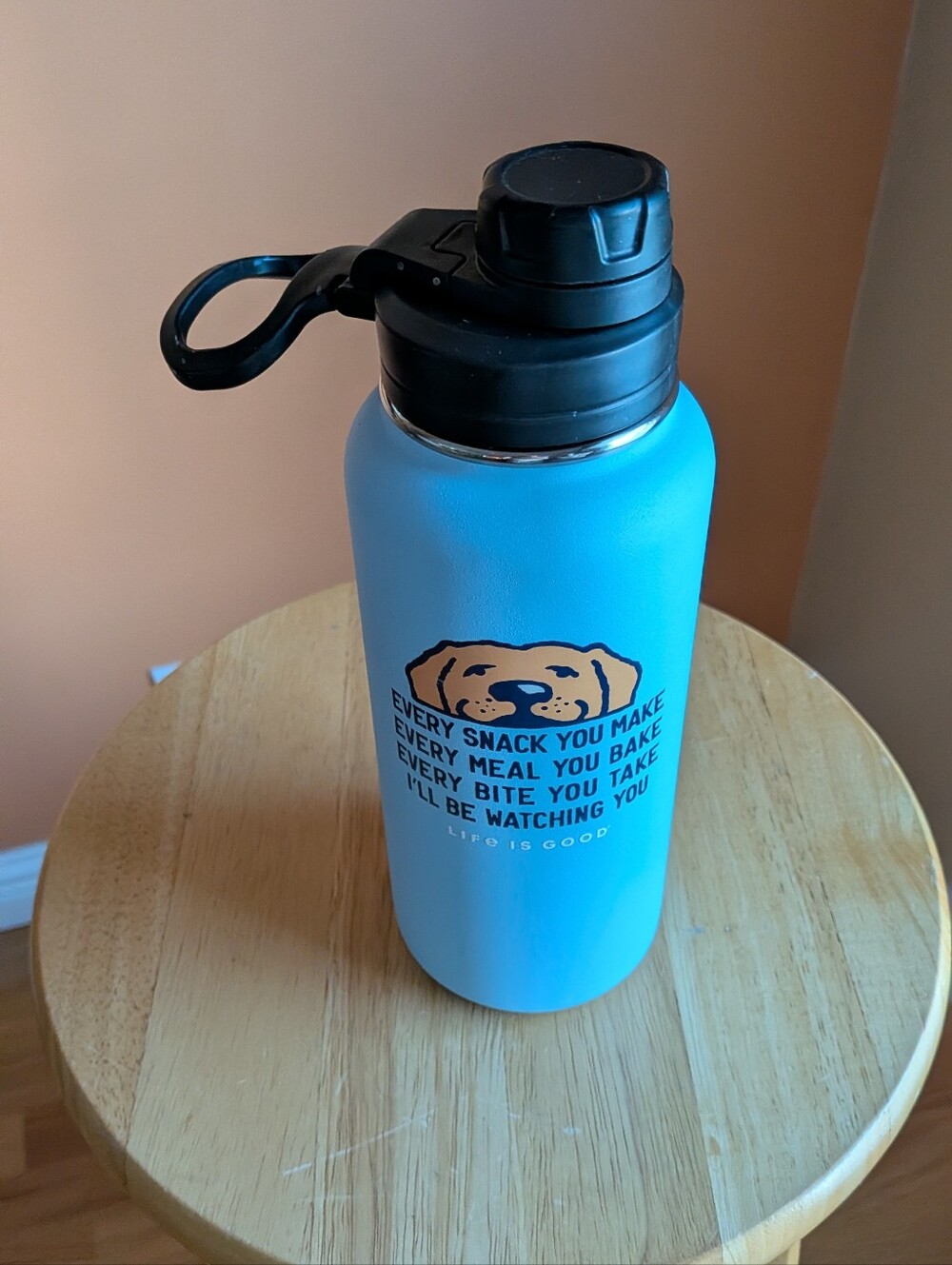 Life Is Good Blue Dog Graphic Insulated Pet Water Bottle